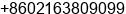 Fax number of Mr. Youfa Zhou at Shanghai