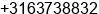 Mobile number of Mr. Williams Scott at Amsterdam