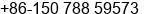 Phone number of Ms. Tracy Lee at Nanning